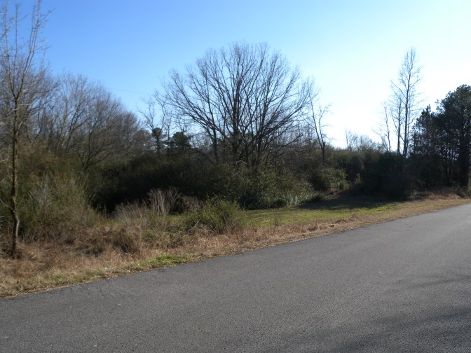 Bean Family Graves 018