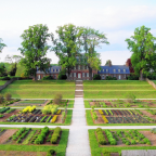 Childhood Christmas Memories