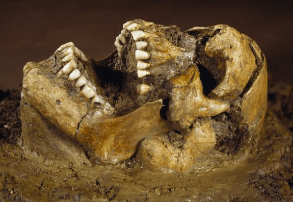 Screen Shot 2017-05-21 at 11.51.33 AM