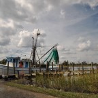 Shrimping in Georgetown