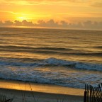 Early Morning in the Lowcountry