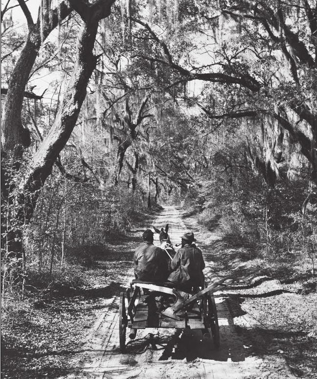 Screen Shot 2017-06-04 at 9.47.46 PM