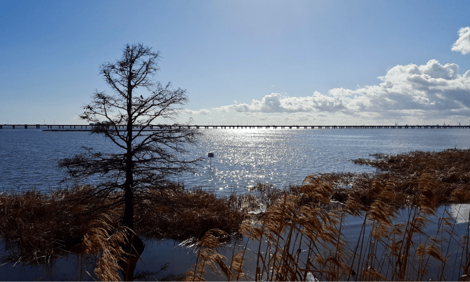 Screen Shot 2017-07-23 at 9.29.43 AM