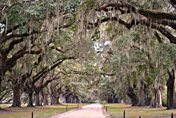 Charleston 2010 451 3