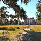 Surviving Gracefully