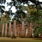 A Testament to Perseverance