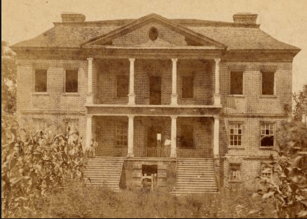 Screen Shot 2017-08-05 at 9.51.53 AM