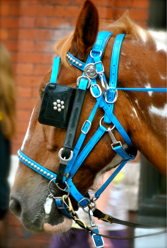 Screen Shot 2017-09-18 at 7.33.12 PM