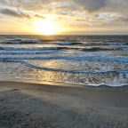 Early Morning Renewal