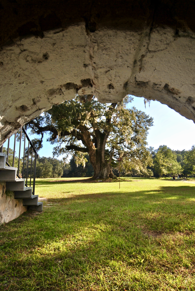 Screen Shot 2017-10-27 at 8.29.38 PM