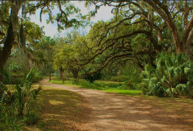 Screen Shot 2018-01-15 at 11.13.07 AM