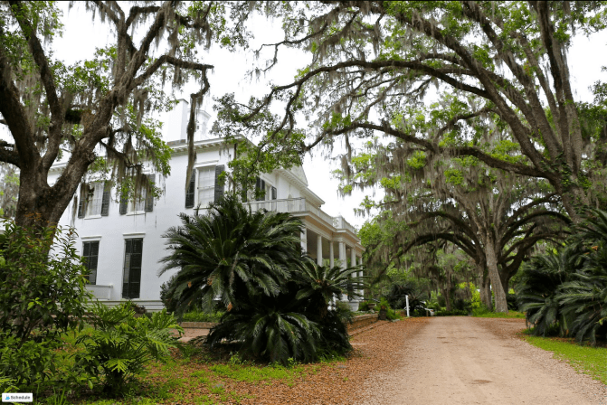 Screen Shot 2018-01-15 at 9.57.09 AM