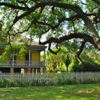 “Before My Memory Begins to Fail…”