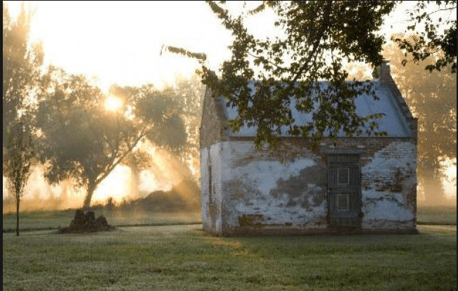 Screen Shot 2018-08-19 at 10.06.43 AM