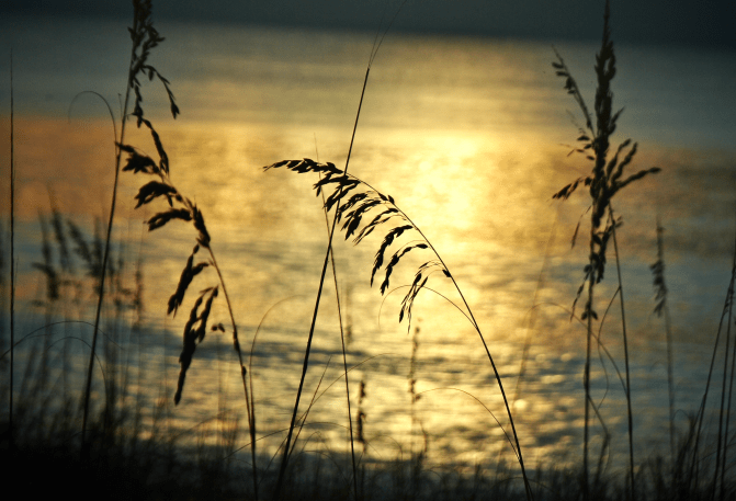 Screen Shot 2018-09-20 at 7.38.31 PM