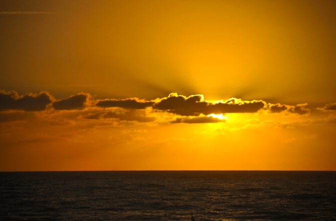 Screen Shot 2018-09-20 at 7.46.04 PM